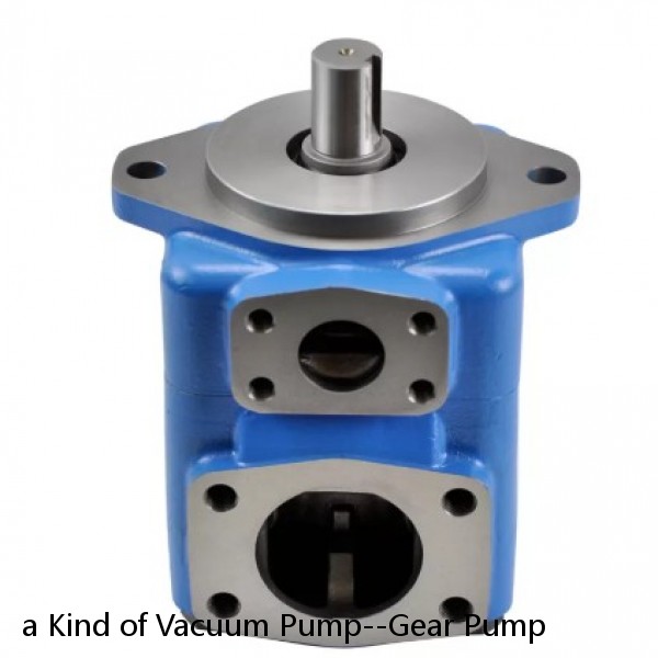 a Kind of Vacuum Pump--Gear Pump #1 image